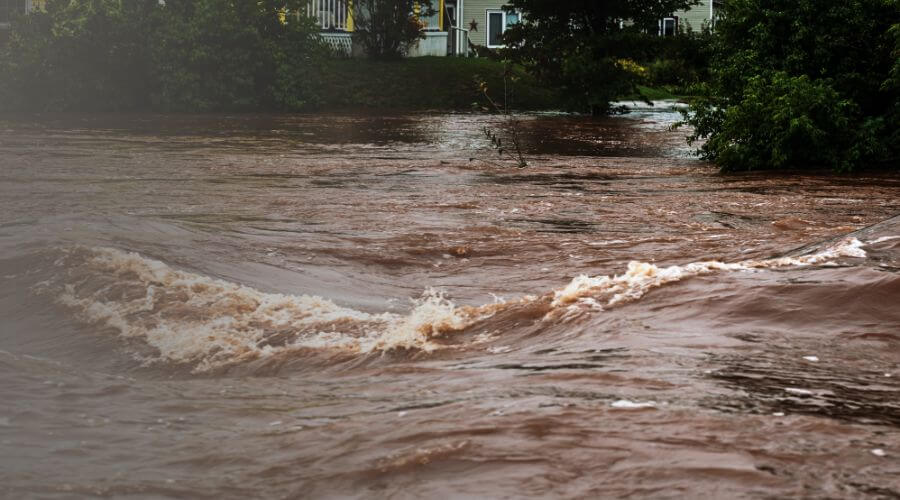 Why choose water damage restoration service for storm damage restoration in Savannah